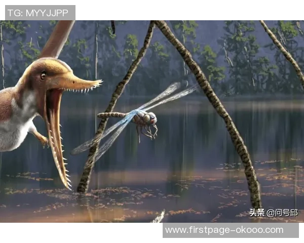 斯通斯的传奇之旅探索音乐与文化的交汇点