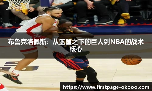 布鲁克洛佩斯：从篮筐之下的巨人到NBA的战术核心